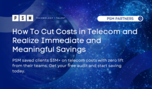 Telecom Audit