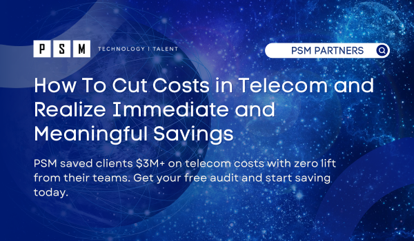 Telecom Audit
